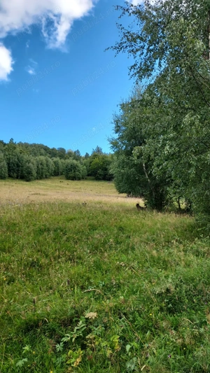 Vând teren intravilan