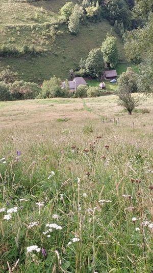 Vând teren intravilan - imagine 3