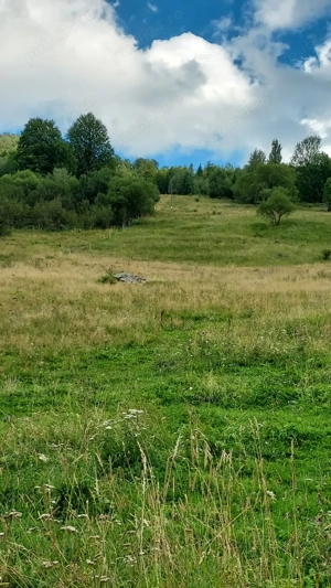 Vând teren intravilan - imagine 4