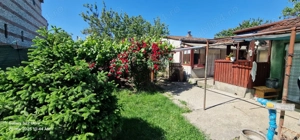 Casa confecții silvas  - imagine 3