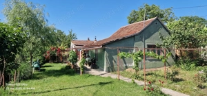 Casa confecții silvas  - imagine 2