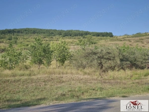 Teren intravilan 2500 mp de vanzare in Ciugud - Teleac