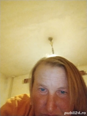 menaj  Timișoara arad caras