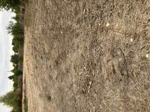 Teren intravilan in Arges - imagine 2