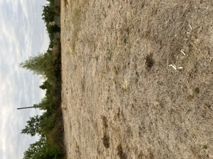 Teren intravilan in Arges