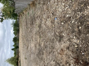 Teren intravilan in Arges - imagine 4