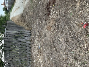 Teren intravilan in Arges - imagine 6