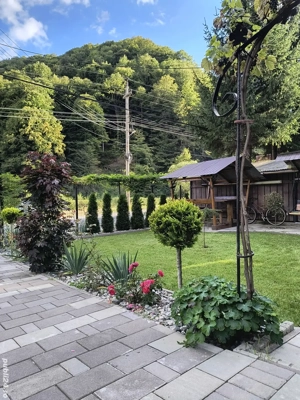 Cabana la Munte  - imagine 2 Cabana la Munte  - imagine 2