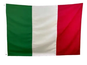 Bărbat in varsta de 39 de ani, cunosc limba Italiană perfect scris citit detin dubla cetățenie caut