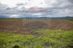 COMISION 0% | TEREN EXTRAVILAN | CRISTIAN | AUTOSTRADA A3 | GHIMBAV - imagine 7