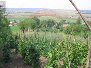 Teren 6,890mp Crasna / Strada Crasna - imagine 7