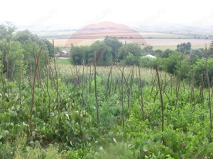 Teren 6,890mp Crasna / Strada Crasna - imagine 5