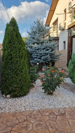 Vila de vanzare Comuna Berceni - Cazanului