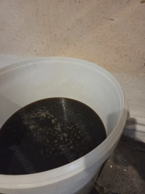 Miere de mana stejar