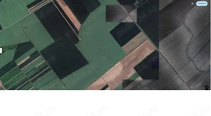 Teren agricol extravilan Comuna Nuci, Jud.Ilfov