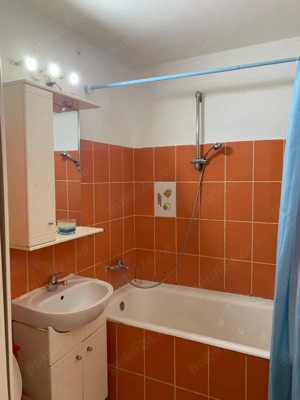 Iancului , Pantelimon  - imagine 6