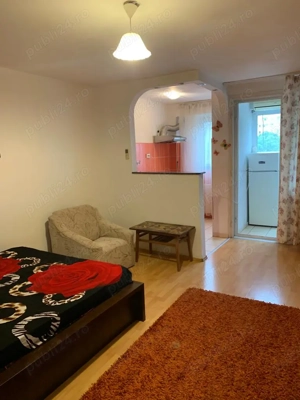 Iancului , Pantelimon  - imagine 5