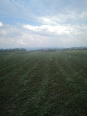 Vand  Teren pentru infiintare plantatie.  - imagine 2