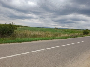 Vand  Teren pentru infiintare plantatie.  - imagine 5