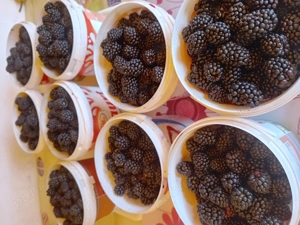 Sirop crud sau toping de coacaza negre sau mure