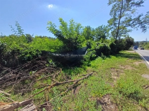 Resita, Teren Intravilan 5615 Mp., 25 Euro Mp., Calea Caransebesului, Memento - imagine 15