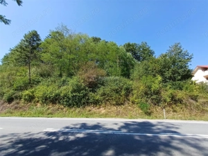 Resita, Teren Intravilan 700 Mp., 25 Euro Mp., Calea Caransebesului, Memento - imagine 5