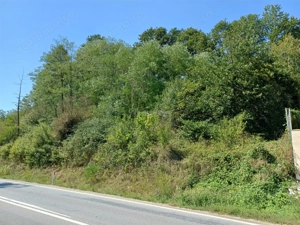 Resita, Teren Intravilan 700 Mp., 25 Euro Mp., Calea Caransebesului, Memento - imagine 6