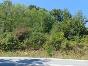 Resita, Teren Intravilan 700 Mp., 25 Euro Mp., Calea Caransebesului, Memento - imagine 11