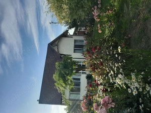 Vând casă cu teren. - imagine 2