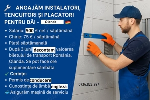 instalatori, tencuitori, placatori   Olanda