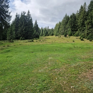 Vânzare teren zona Vârtop - imagine 3