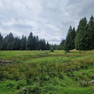 Vânzare teren zona Vârtop - imagine 4