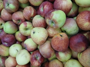 Țuică de 56 de grade 