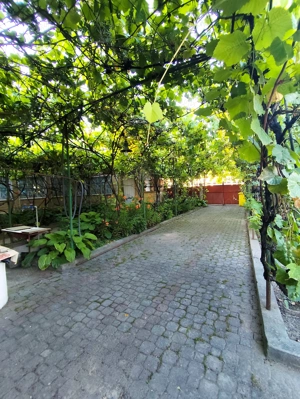 Casa de Vanzare, Sintea Mare, 6 km de orasul Chisineu Cris - imagine 2