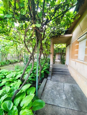 Casa de Vanzare, Sintea Mare, 6 km de orasul Chisineu Cris - imagine 3