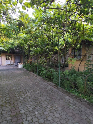 Casa de Vanzare, Sintea Mare, 6 km de orasul Chisineu Cris - imagine 4