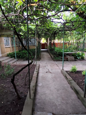 Casa de Vanzare, Sintea Mare, 6 km de orasul Chisineu Cris - imagine 6