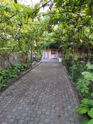 Casa de Vanzare, Sintea Mare, 6 km de orasul Chisineu Cris - imagine 5