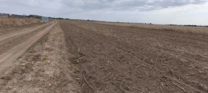 Teren de vânzare în Balotești  - imagine 2