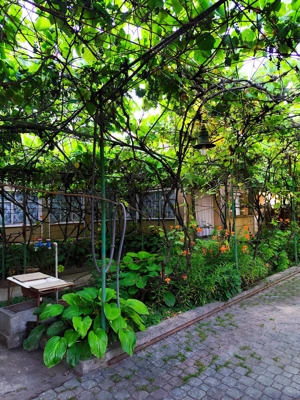 Casa de Vanzare, Sintea Mare, 6 km de orasul Chisineu Cris - imagine 7