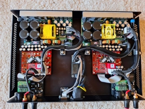 Amplificator Apollon Purifi 1ET9040BA DM Dual Mono Stereo Amplifier - imagine 4