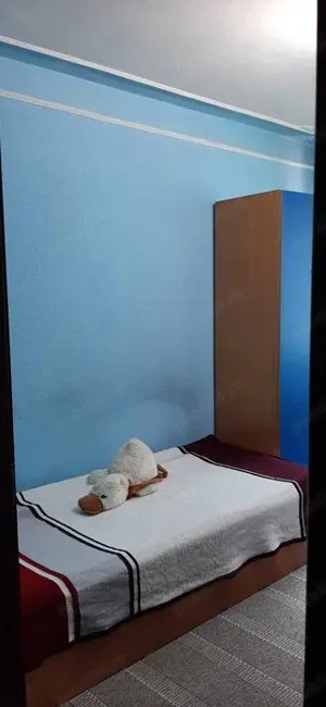 Primesc in gazda - imagine 3