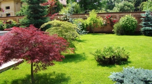 Serivcii pentru amenajarea și întreținerea spațiilor verzi