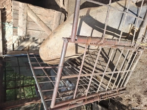 Vând una din cele două purcele 