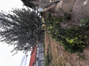 Vând casă sau schimb cu apartament - imagine 9