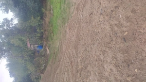 Exclusivitate teren Intravilan Lumina