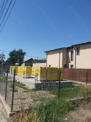 Teren casa in Mogosoaia ilfov 300 mp cu fundatie 90 mp - imagine 9