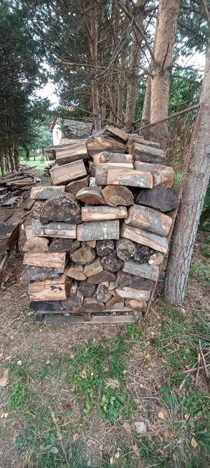 Lemne pentru foc 400 lei - imagine 2