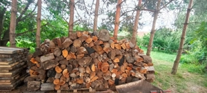 Lemne pentru foc 400 lei