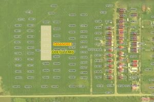 Pachet 6 Parcele Intravilan | 560 MP | Proiect Duplex | Covaci | Comision 0 - imagine 4